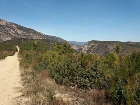 CIRCUIT VTT MADRES-CORONAT - LA VALLEE DES LOUPS N°15 CIRCUIT VTT MADRES-CORONAT - LA VALLEE DES LOUPS N°15
