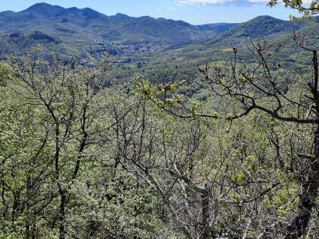 N°5 LE ROC DEL PINS