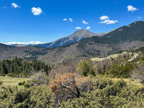 RESERVE NATURELLE DE PRATS DE MOLLO LA PRESTE
