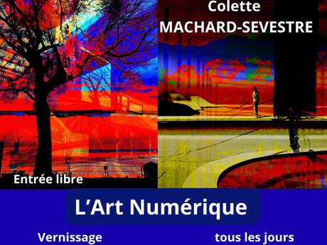 EXPOSITION "L'ART NUMERIQUE" PAR COLETTE MACHARD-SEVESTRE