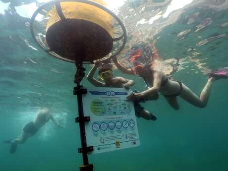 SENTIER SOUS-MARIN DE LA RESERVE MARINE CERBERE-BANYULS