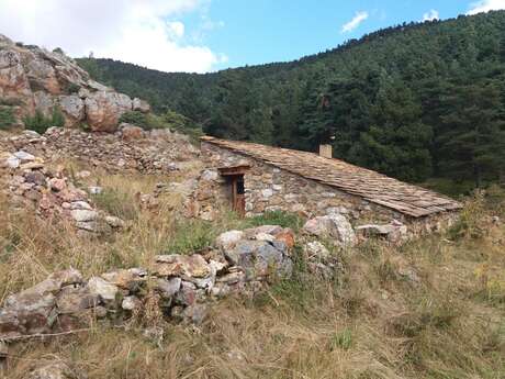 PR34 : JUJOLS - SENTIER DES BERGERIES