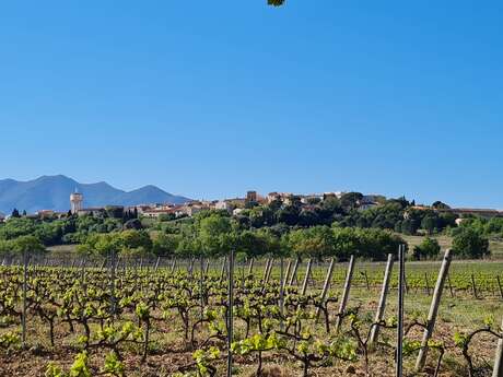 EL CAMI DE BANYULS DELS ASPRES