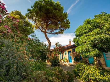 VISITE GUIDÉE COLLIOURE INSOLITE