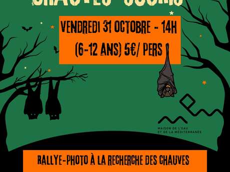 ATELIER CHAUVES SOURIS 6-12 ANS
