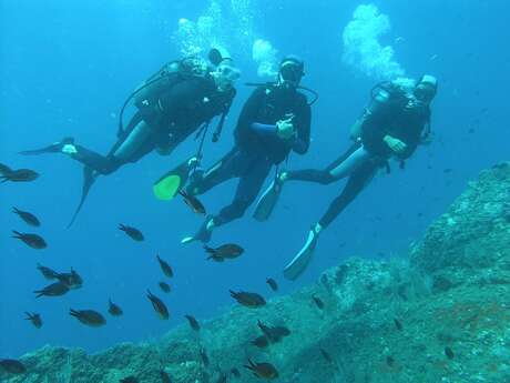 CENTRE DE PLONGEE - CIP COLLIOURE