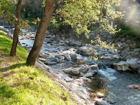 BALADE NATURE ET PATRIMOINE "LA FORGE MURMURE"