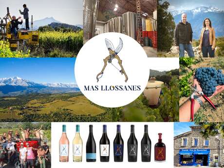 MAS LLOSSANES