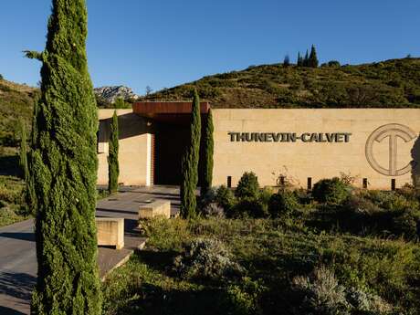 IMMERSION DANS L'UNIVERS VIGNERON - MAURY