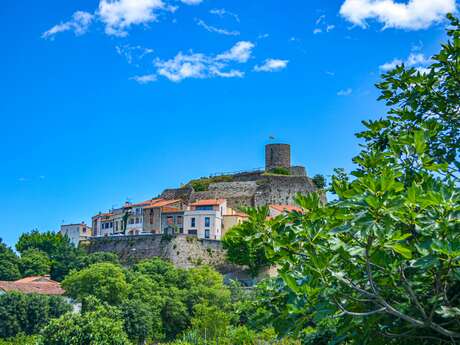 CHÂTEAU DE LAROQUE-DES-ALBÈRES