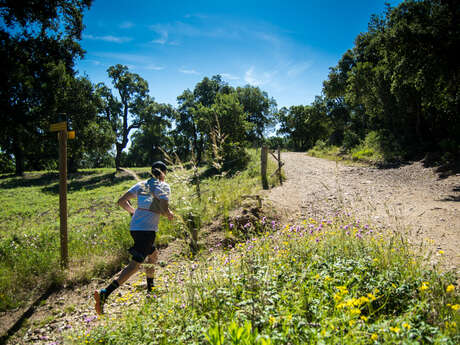 TRAIL BOUCLE MOYENNE VALMY > TOUR DE LA MASSANE
