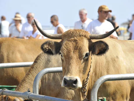 LA FERME A CANET