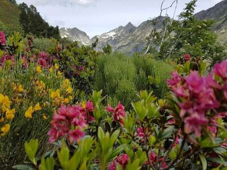 VALL DE GALBE (VTT 8)