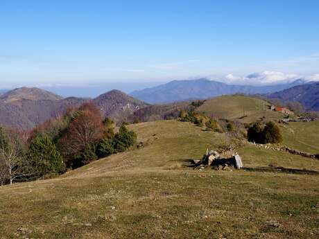 TOUR DU HAUT VALLESPIR  GR®P