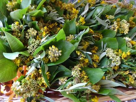 CONFÉRENCE "LES PLANTES SAUVAGES DANS LA TRADITION CATALANE"