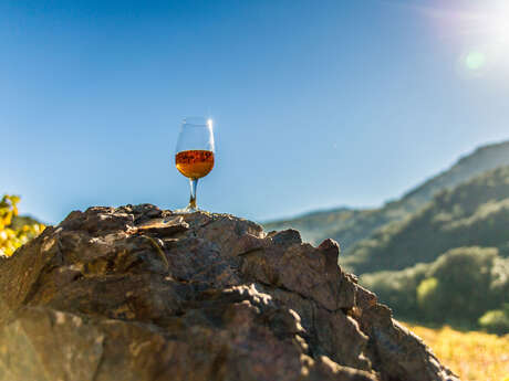 APERITIF VIGNERON DE NOËL