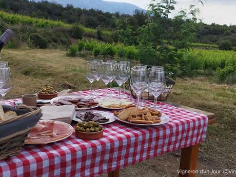 VIGNOBLES EN SCENE - VIGNERON D'UN JOUR AVEC VINO ENIGMA