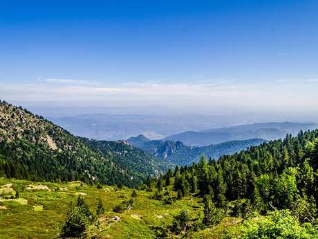 LES CORTALETS PAR LA VARIANTE DU GR®10