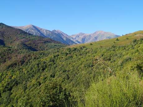 AU FIL DU CHEMIN RURAL, DEPUIS SAINT-MARSAL