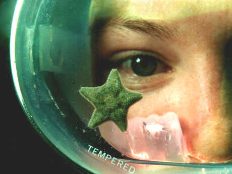 CENTRE DE PLONGEE LE POULPE