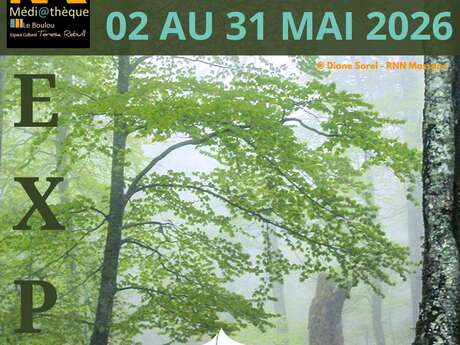 AU RYTHME DES FORÊTS : LA FORÊT DE LA MASSANE