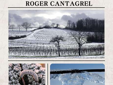 SYMPHONIES DE LA NATURE SOUS UN MANTEAU BLANC PHOTOGRAPHIES DE ROGER CANTAGREL