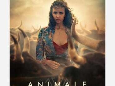 CINÉMA OSSÉJA - ANIMALE