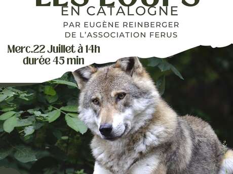 ATELIER LES LOUPS EN CATALOGNE