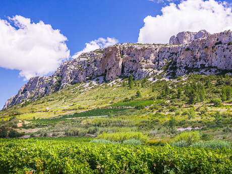 LE CIRQUE DE VINGRAU