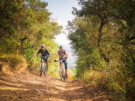 CIRCUIT DES CHATEAUX