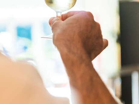 LES VIGNES DU VENT AGLY