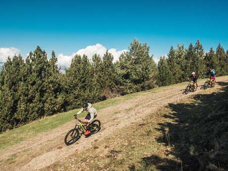 VTT 3 - LA ROSEE DU PUIGMAL