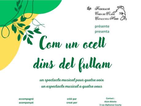 CONCERT COM UN OCELL