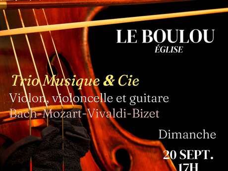 CONCERT TRIO MUSIQUE & CIE