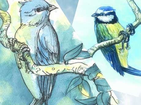 ATELIER CRÉATIF «AQUARELLE DES OISEAUX » PAR MONIQUE FRADIER