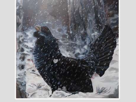 EXPOSITION « PORTRAITS D’OISEAUX DES PYRÉNÉES-ORIENTALES » DE ANNE ZAMO