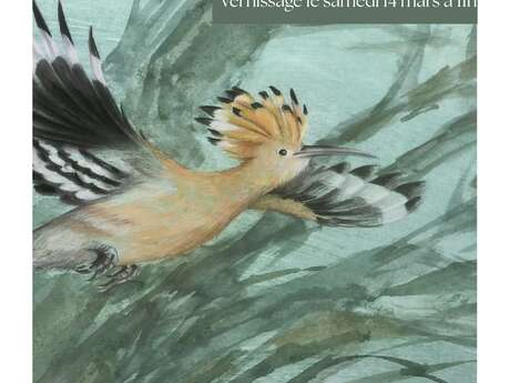 EXPOSITION "OISEAUX" - AQUARELLE ET PASTEL MONIQUE FRADIER