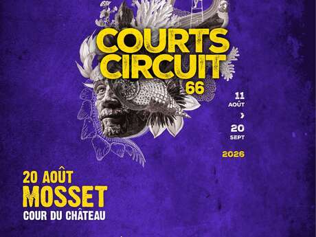 COURTS CIRCUITS 66