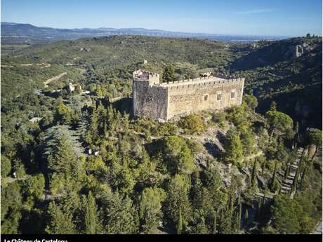 CHÂTEAU DE CASTELNOU