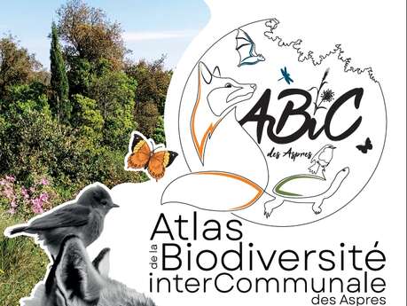 INITIATION AUX INVENTAIRES BIODIVERSITÉ