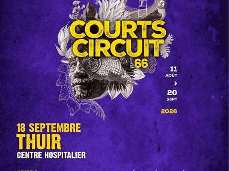 FESTIVAL COURTS CIRCUIT 66