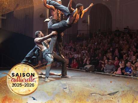 THÉÂTRE DES ASPRES -SAISON CULTURELLE 25/26 : THE BLACK BLUES BROTHERS