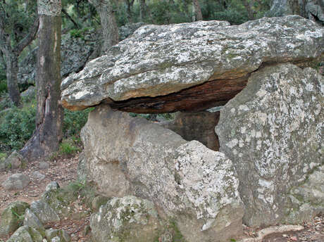 BALADE FAMILIALE VERS LE DOLMEN LA COVA DE L’ALARB
