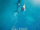 CINÉMA OSSÉJA - CYCLE DOCUMENTAIRE: LA BALEINE ET LE MUSICIEN