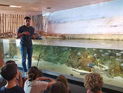 ANIMATIONS À L'AQUARIUM VACANCES PRINTEMPS ANIMATIONS À L'AQUARIUM VACANCES PRINTEMPS