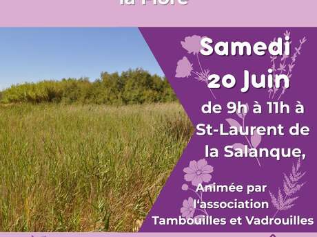 BALADE NATURE - LES SECRETS DE LA FLORE