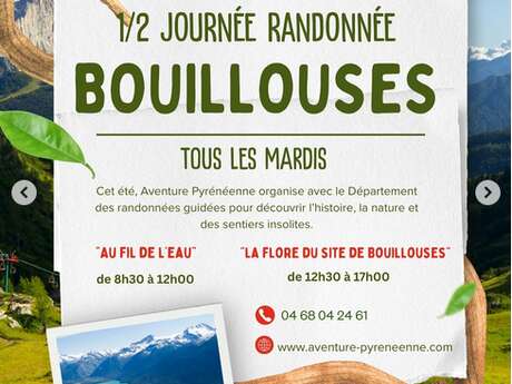 RANDONNÉE GUIDÉE "LA FLORE DU SITES DES BOUILLOUSES"