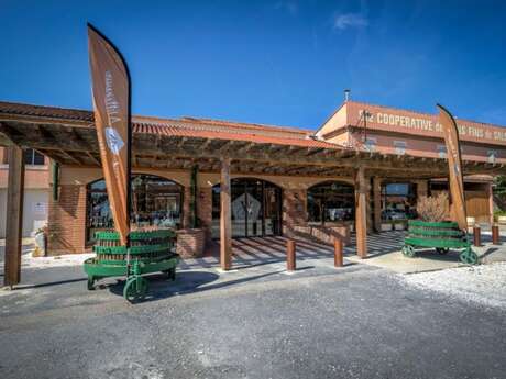 CAVE ARNAUD DE VILLENEUVE