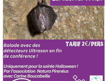 CONFERENCE SUR LES CHAUVES SOURIS