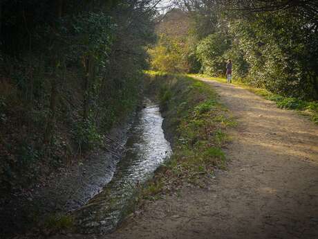 BALADE CONTÉE À PIED, LE LONG DU REC DEL MOLI